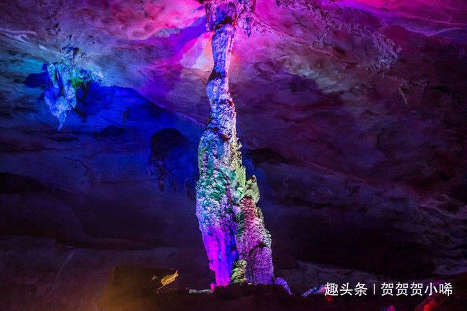 动物帮帮忙保卫家园