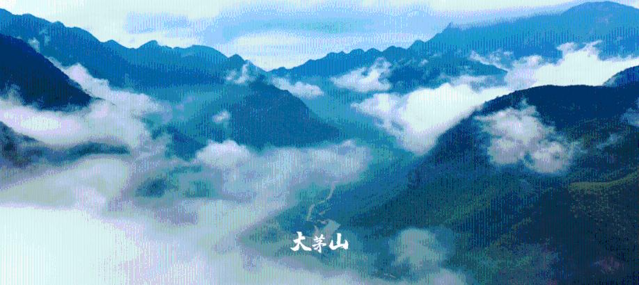 探索天涯,解开心中疑惑——女朋友爱逛街,是好还是不好呀?交流平台